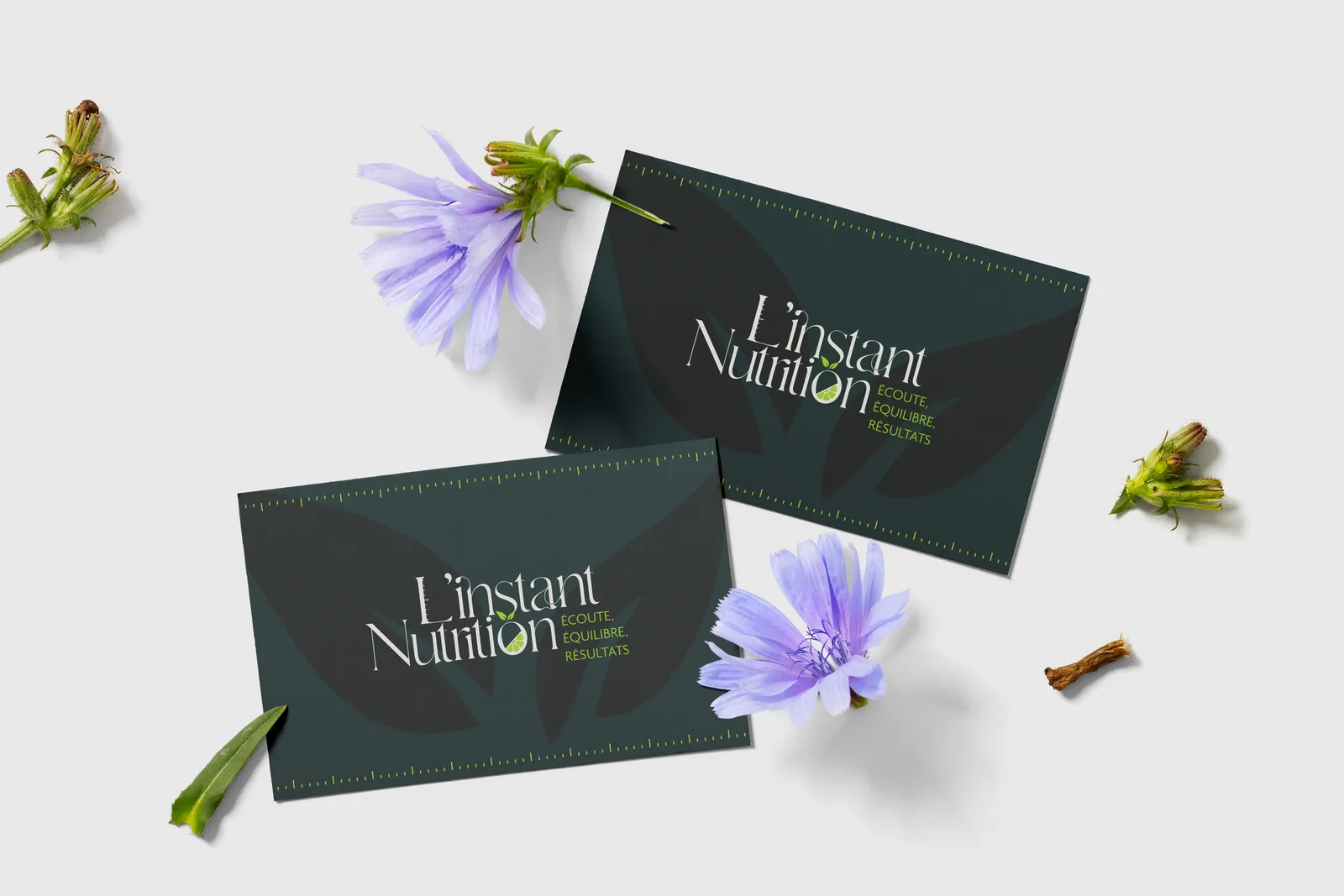 Deux cartes de visite vert sapin au logo L'instant Nutrition, posées parmi des fleurs de chicorée sur fond gris clair